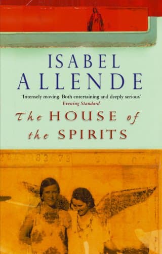 Isabel Allende,Magda Bogin, The House of the Spirits