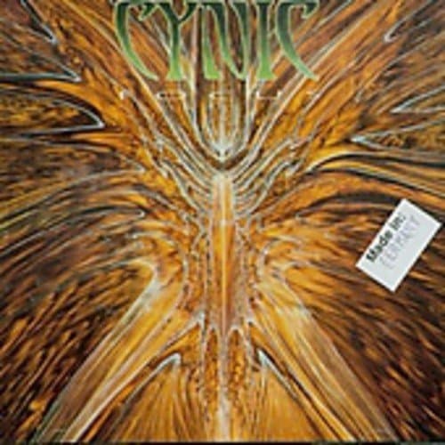 Cynic, Focus