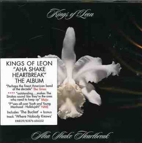 Kings of Leon, Aha Shake Heartbreak