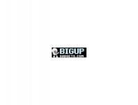 BIGUp Gadgets - www.bigupgadgets.com