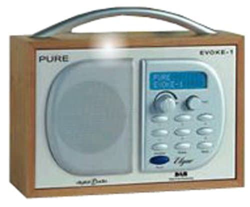 Pure Evoke 1