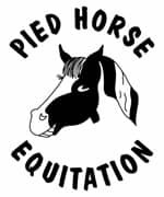 Pied Horse Equitation Chelmsford, Essex