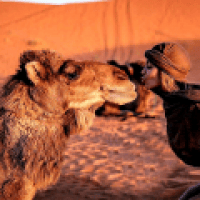 Sahara Holiday Tours - www.sahara-holidaytours.com