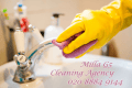MillaG5 Ltd - www.millag5cleaningagency.co.uk