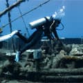 Turkey Bitez, Aegean Pro Dive Centre