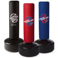 Century Wavemaster Punching Bag