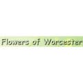 Flowers of Worcester - www.flowersofworcester.co.uk