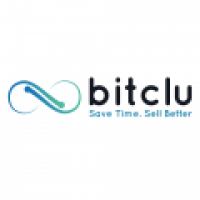 Bitclu Inc - www.bitclu.com