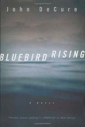 John DeCure Bluebird Rising