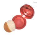 Bourjois Visage Pastel Joues Blusher
