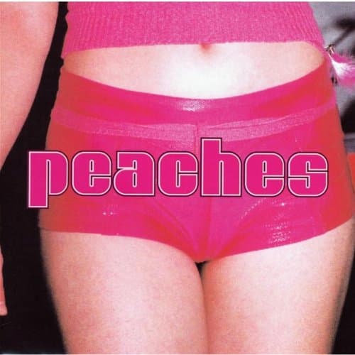 Peaches, The Teaches of Peaches