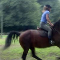 Bank Farm Riding School Poynton, Stockport