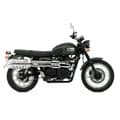Triumph Scrambler