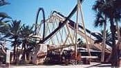 Tampa Bay, Busch Gardens