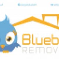 Bluebird Cargo LTD - www.bluebird-cargo.co.uk