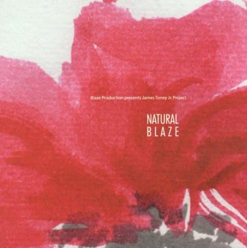 Blaze Presents James Toney Jr Project, Natural Blaze