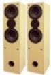 Aural Envelope EX300