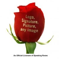 British Speaking Roses www.britishspeakingroses.com