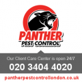 Panther Pest Control London - pantherpestcontrollondon.co.uk