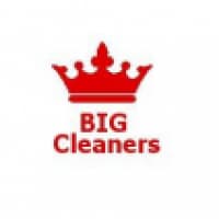 Big Cleaners - bigcleanersealing.com