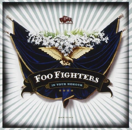 Foo Fighters, In Your Honour