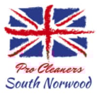 Pro Cleaners South Norwood - southnorwood-cleaners.co.uk