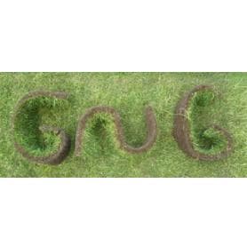 G&G Garden Services - www.bexleygardenservices.co.uk