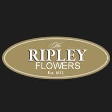 Ripley Flowers - www.ripleyflowers.co.uk