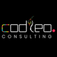 Codleo Consulting - www.codleo.com