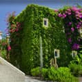 Apollon Hotel Kos Town