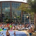 Flamingo Oasis Hotel