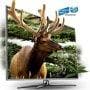 Samsung UE60D8000 Full HD 60" LED 3D TV