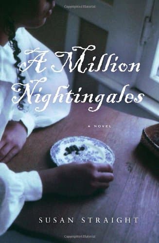 Susan Straight, A Million Nightingales