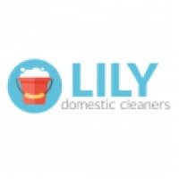 Lily Domestic Cleaners - www.lilydomesticcleaners.co.uk