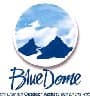 BlueDome www.bluedome.co.uk