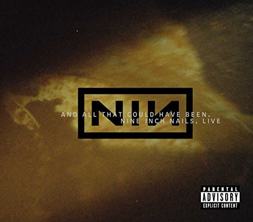 Nine Inch Nails, And All That Could Have Been