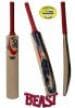 Slazenger V389 (Michal Clark 06)