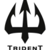 Trident Executive Cars - www.tridentlogistics.co.uk