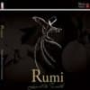 Anandmurti Gurumaa Rumi