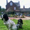 Woodfarm Kennels and Cattery Dudley