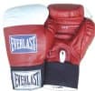 Everlast USA Boxing Amateur Boxing Gloves
