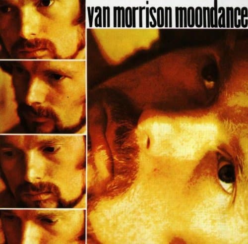 Van Morrison, Moondance