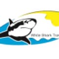 White Shark Egypt - www.whitesharkegypt.com
