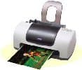 Epson Stylus C40 Plus
