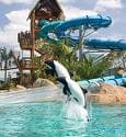 Orlando, Sea World Aquatica