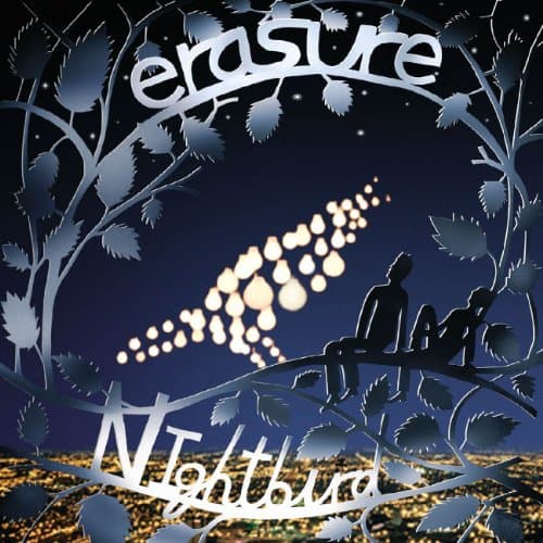 Erasure, Nightbird