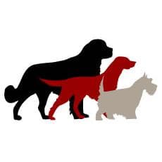 Outbound Hound - www.outboundhound.co.uk