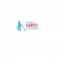 Haringey Carpet Cleaners Ltd. - haringeycarpetcleaners.co.uk