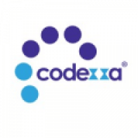 Website Development - www.codexxa.in