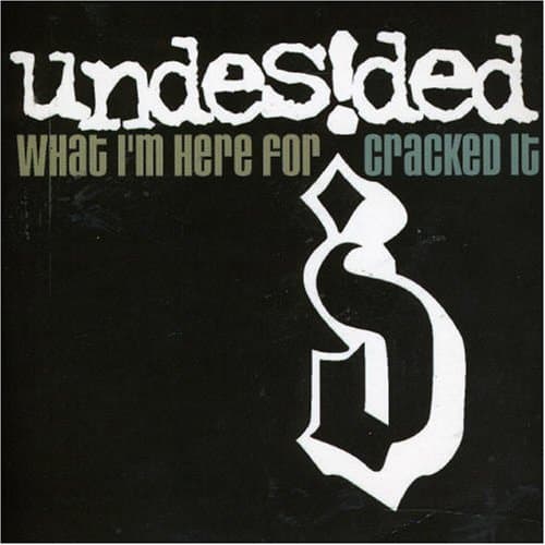 Undesided, What I'm Here For